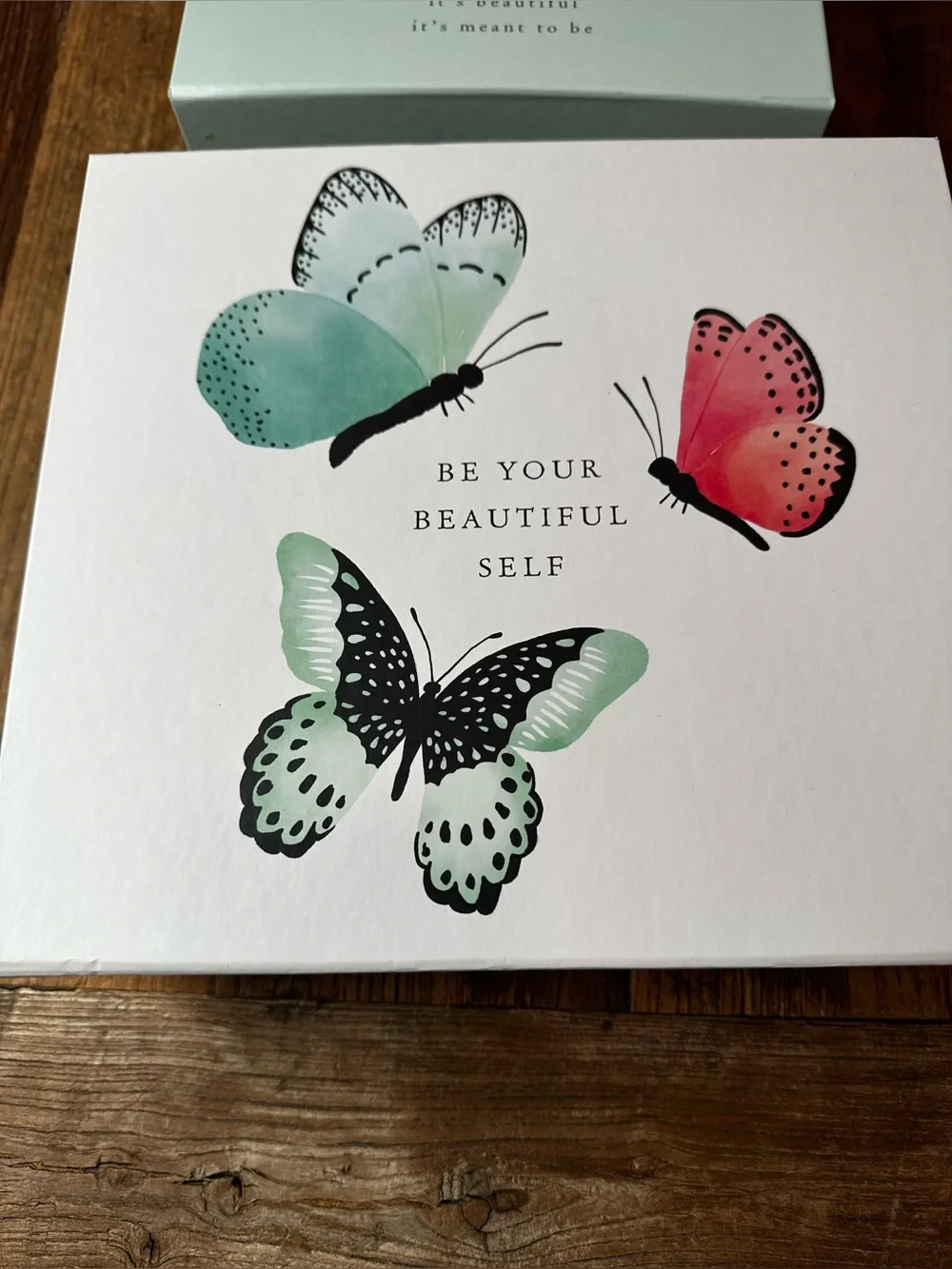 Butterfly Canvas Storage Box Set - Mint Green & Coral